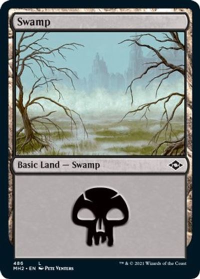 MTG Odyssey Various conditions Swamp #342 Foil