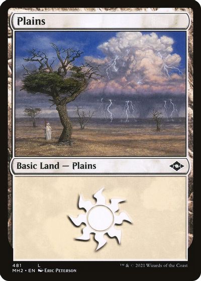 Plains #481