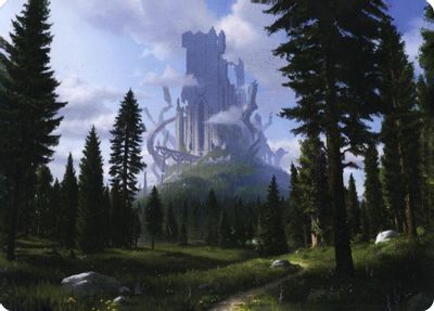Forest 61 81 Art Card #61
