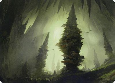 Forest 55 81 Art Card #55