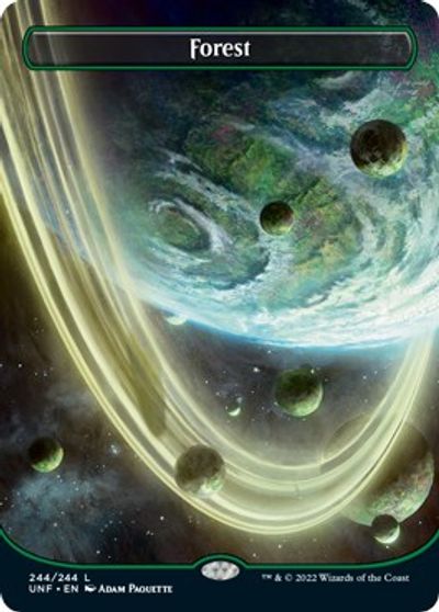 Forest 244 Borderless