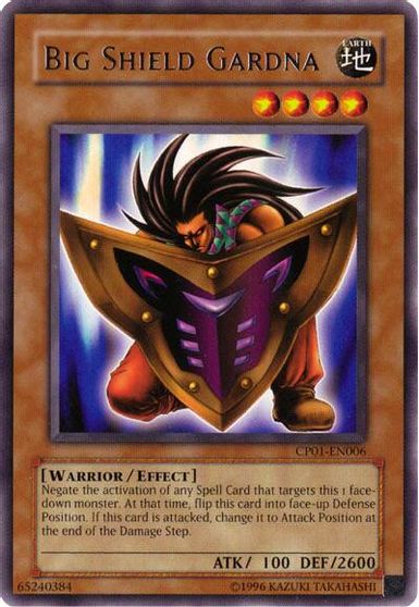 Big Shield Gardna