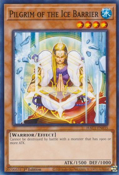 Pilgrim of the Ice Barrier #HAC1-EN035
