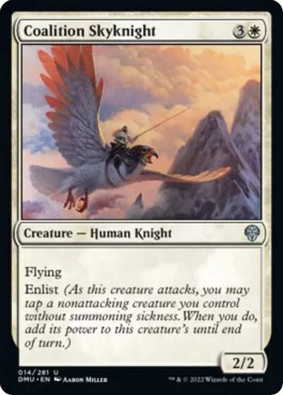 Coalition Skyknight #14