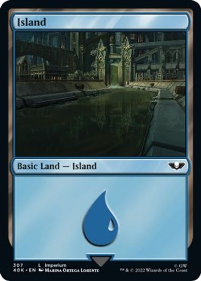 Island #307