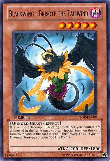Blackwing Brisote the Tailwind