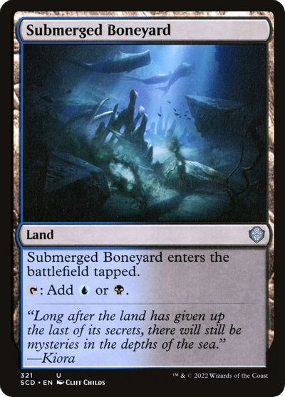 Submerged Boneyard #321