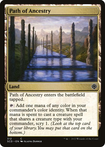 Path of Ancestry #312