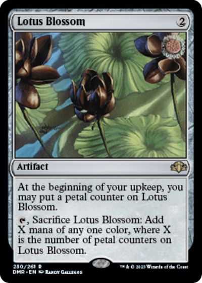 Lotus Blossom #230
