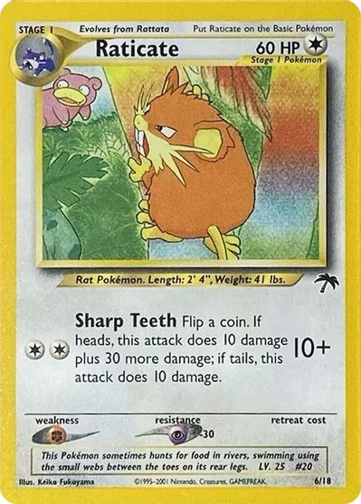 Raticate #6