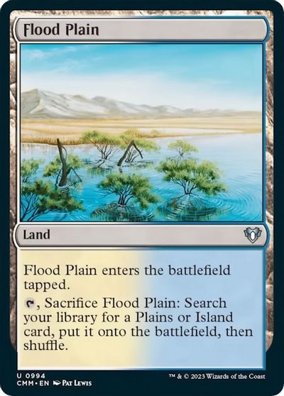 Flood Plain #994