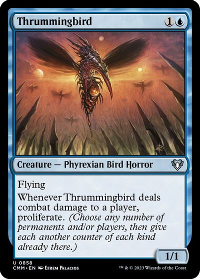Thrummingbird #858