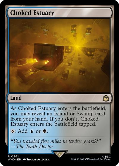 Choked Estuary #261