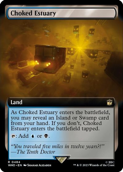 Choked Estuary Extended Art #484