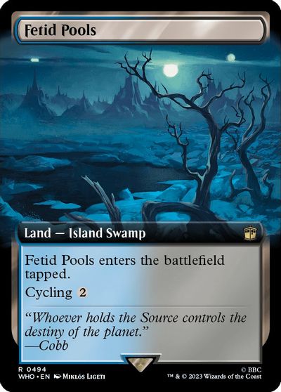 Fetid Pools Extended Art #494