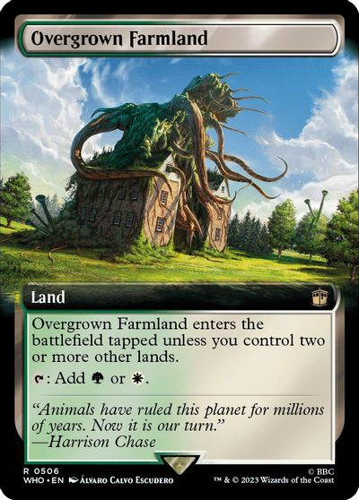 Overgrown Farmland Extended Art #506