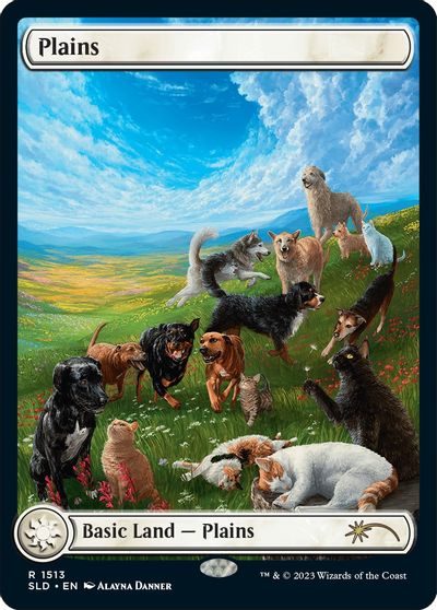 Plains #1513