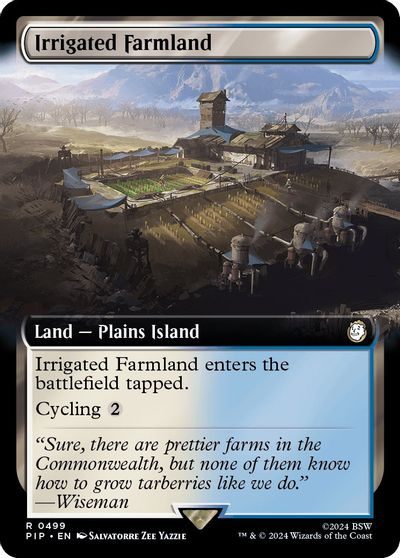 Irrigated Farmland Extended Art #499