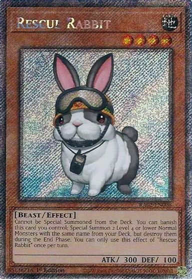 Rescue Rabbit