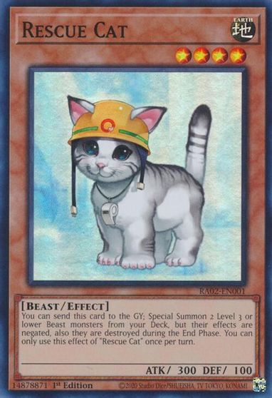 Rescue Cat #RA02-EN001