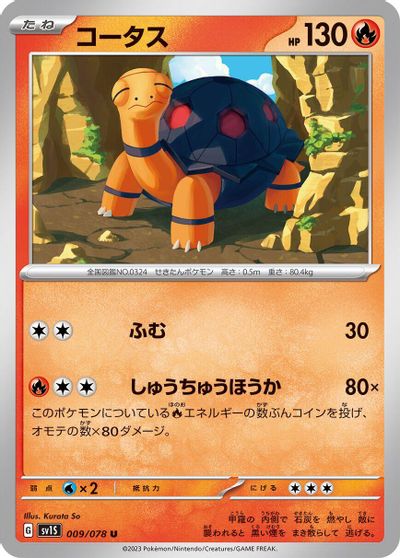 Torkoal #9