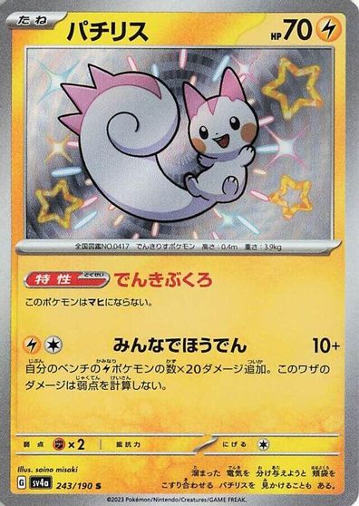 Pachirisu #243