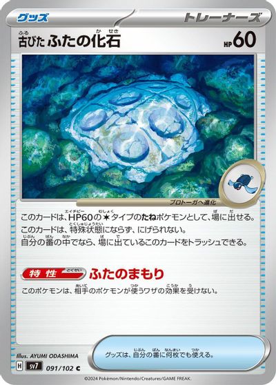 Cover Fossil #91