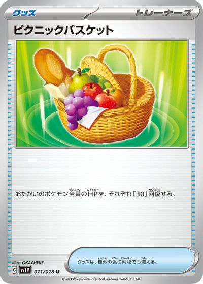 Picnic Basket #71