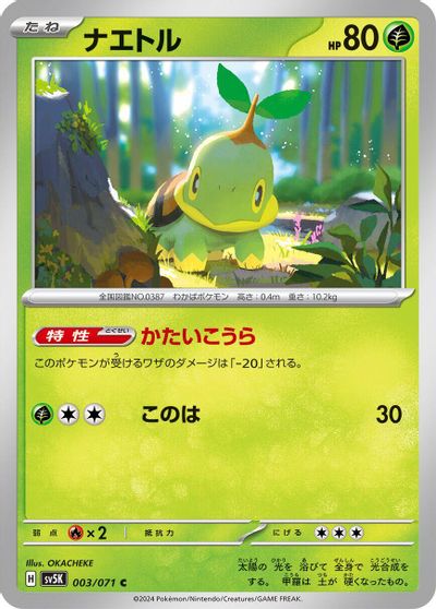 Turtwig #3