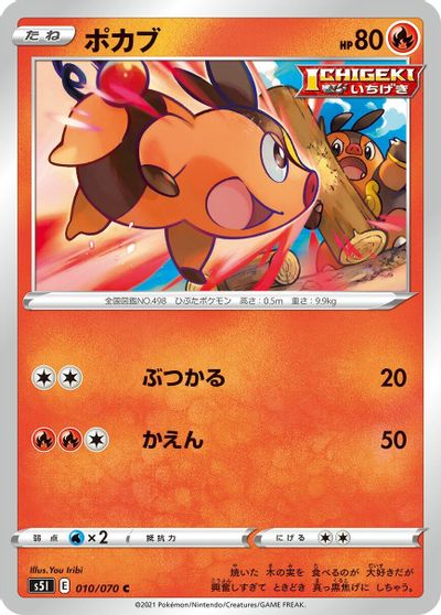 Tepig #10