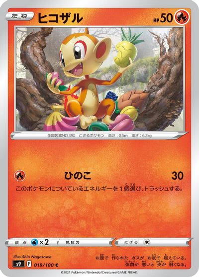 Chimchar #19