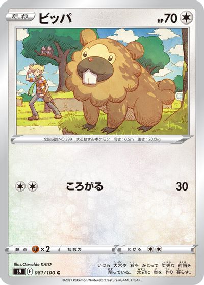 Bidoof #81
