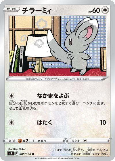 Minccino #85