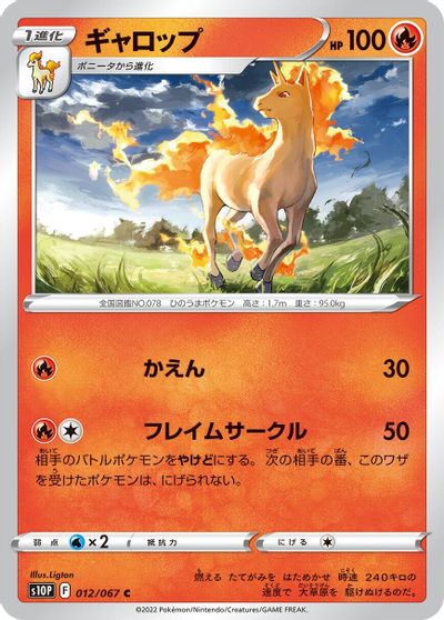 Rapidash #12