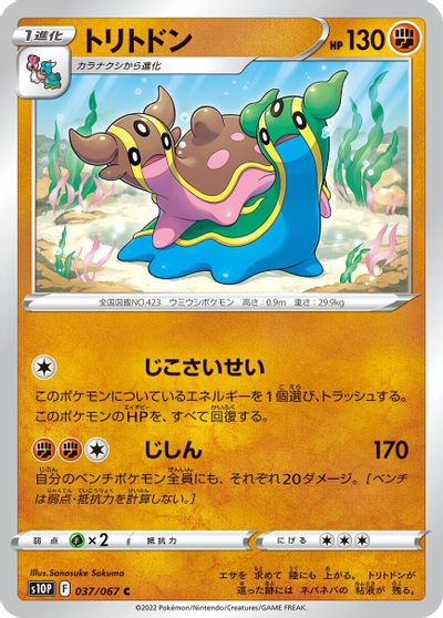 Gastrodon #37