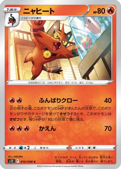 Torracat #16