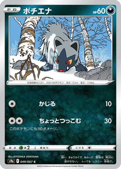 Poochyena #49