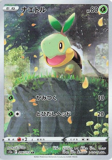 Turtwig #206