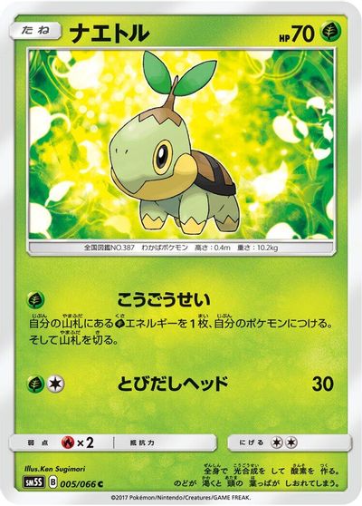 Turtwig #5
