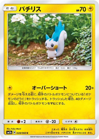 Pachirisu #28