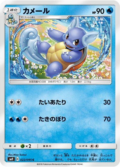 Wartortle #22