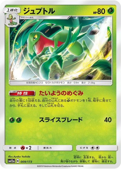 Grovyle #9