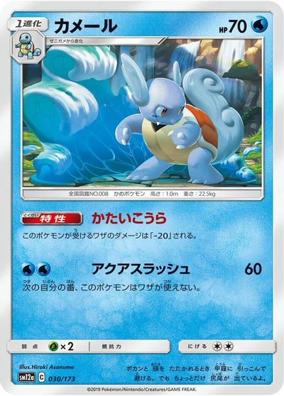 Wartortle #30