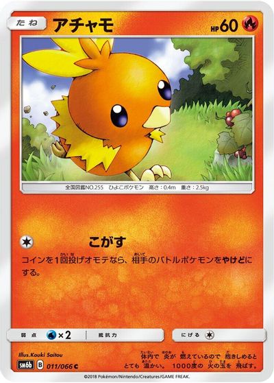 Torchic #11
