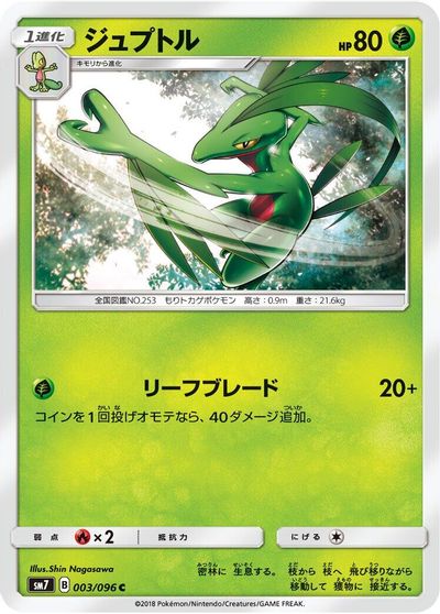 Grovyle #3