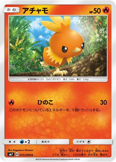 Torchic #15