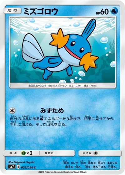 Mudkip #21
