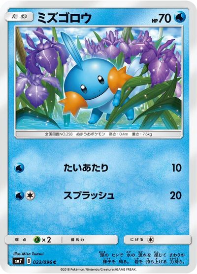 Mudkip #22