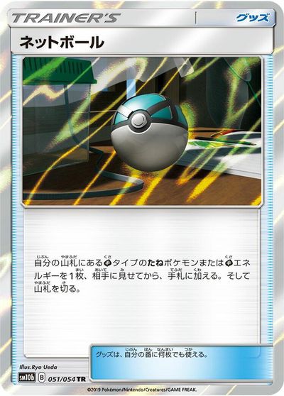 Net Ball #51