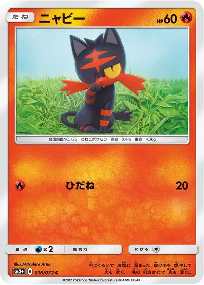Litten #16